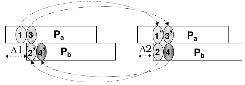 图1. ZigZag冲突消除过程示意